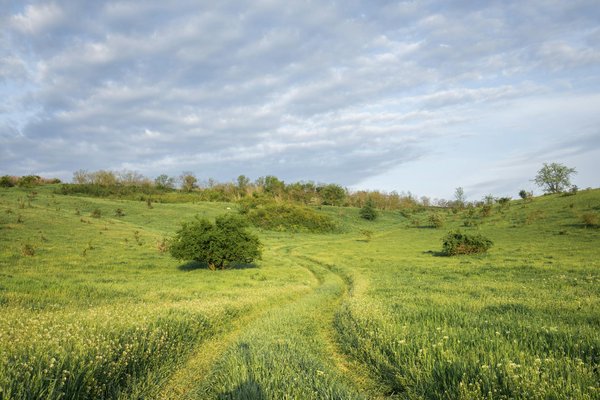 Comment organiser une visite des temples anciens du Myanmar?