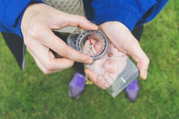 Quelles croisières proposent des excursions pour explorer les forêts de séquoias en Californie?